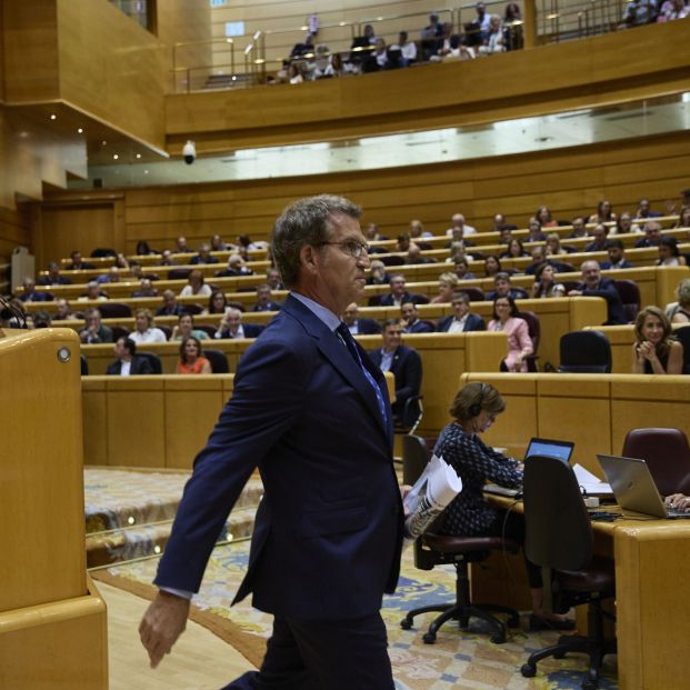 Cara a cara en el Senado: reproches, el anuncio de Sánchez y la condición de Feijóo