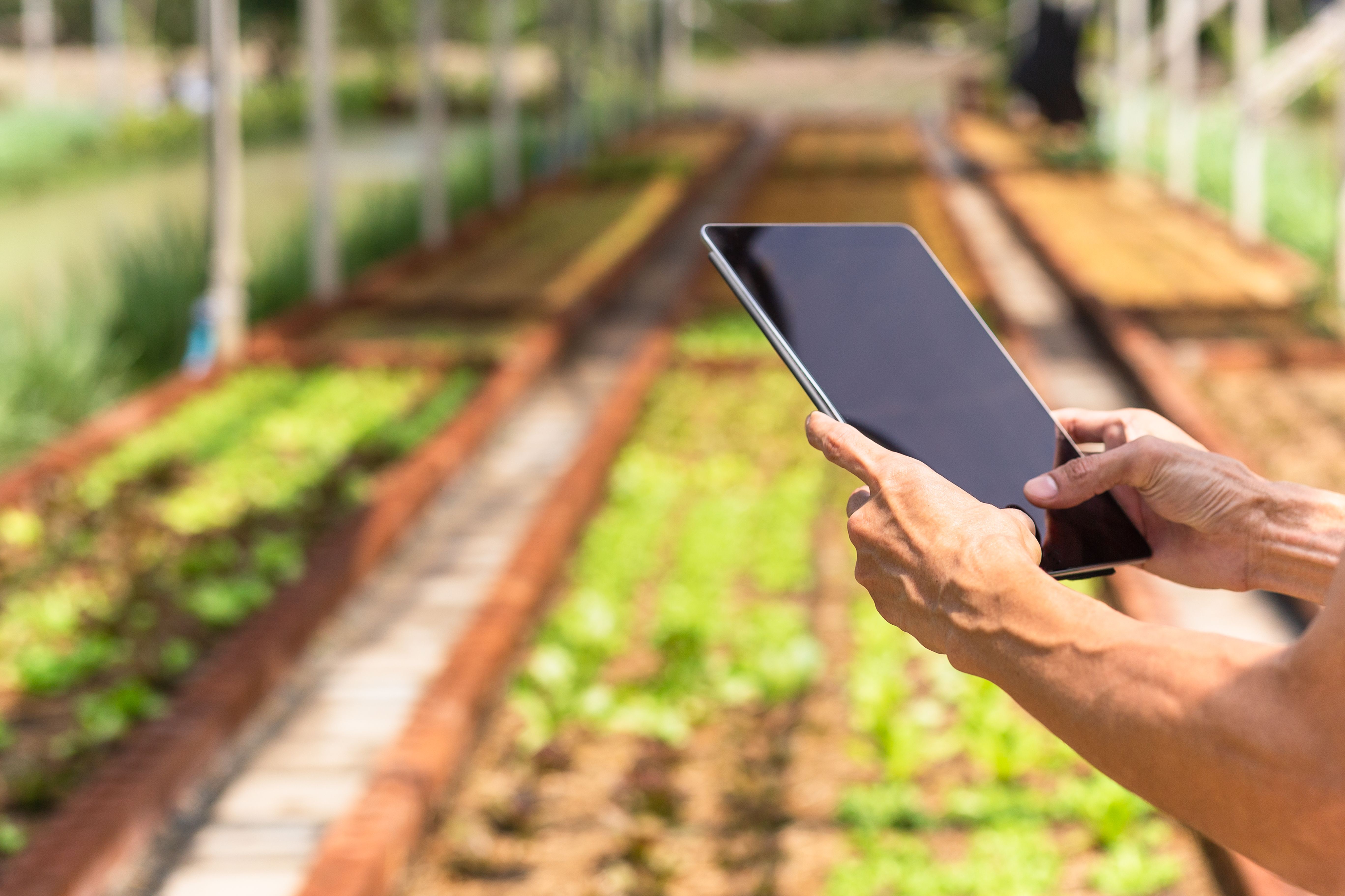 ‘Tu iniciativa tiene valor’, el certamen para potenciar la Málaga rural. Foto: Bigstock