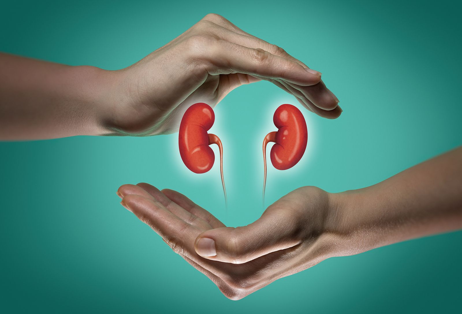 Código Riñón para frenar Enfermedad Renal Crónica