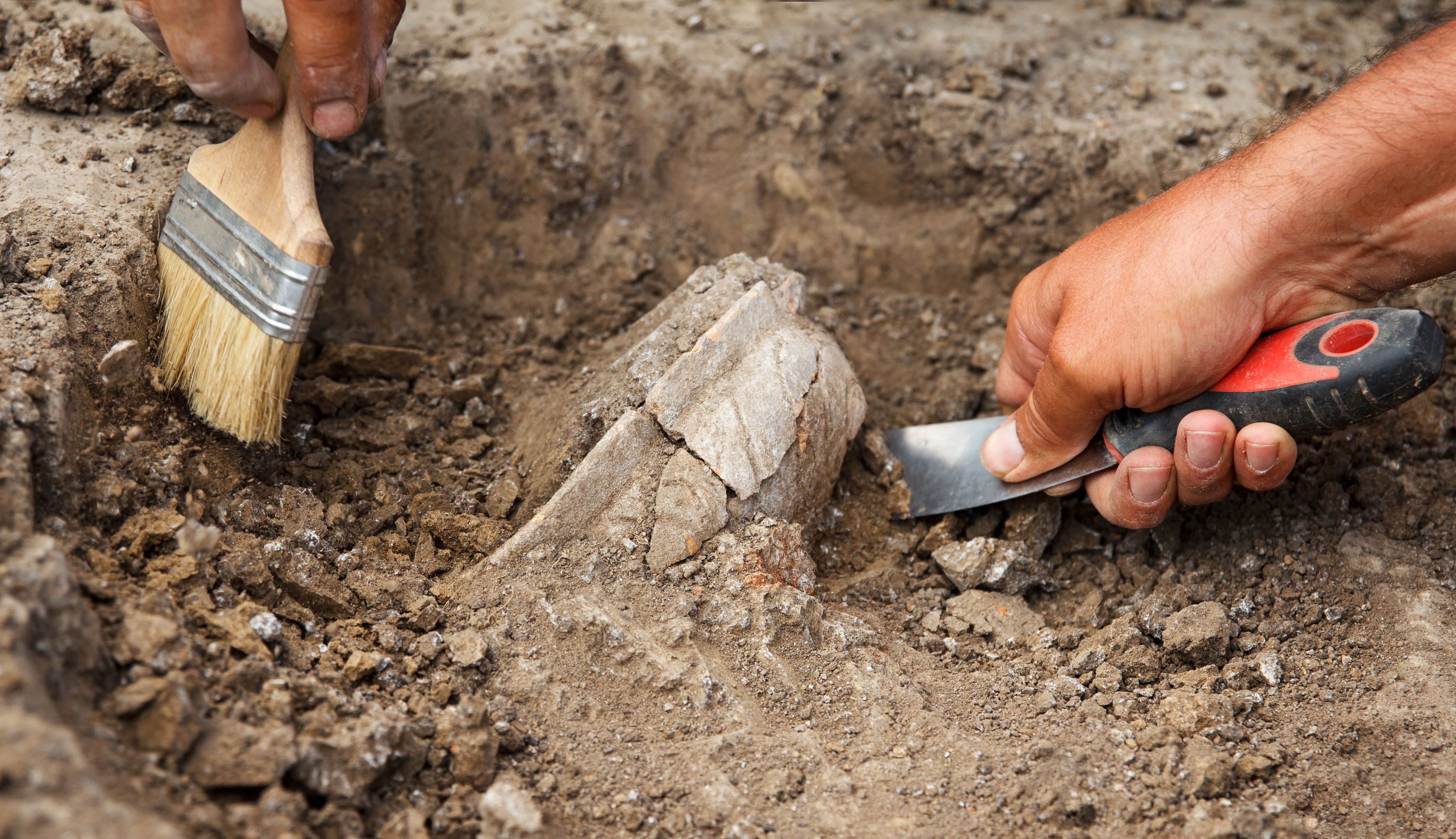 Encuentran el fósil de un animal que vivió millones de años antes de los dinosaurios