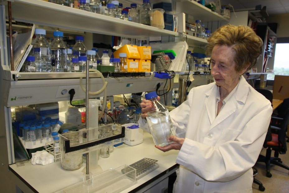 Margarita Salas: "Querría venir al laboratorio hasta los 100 años"