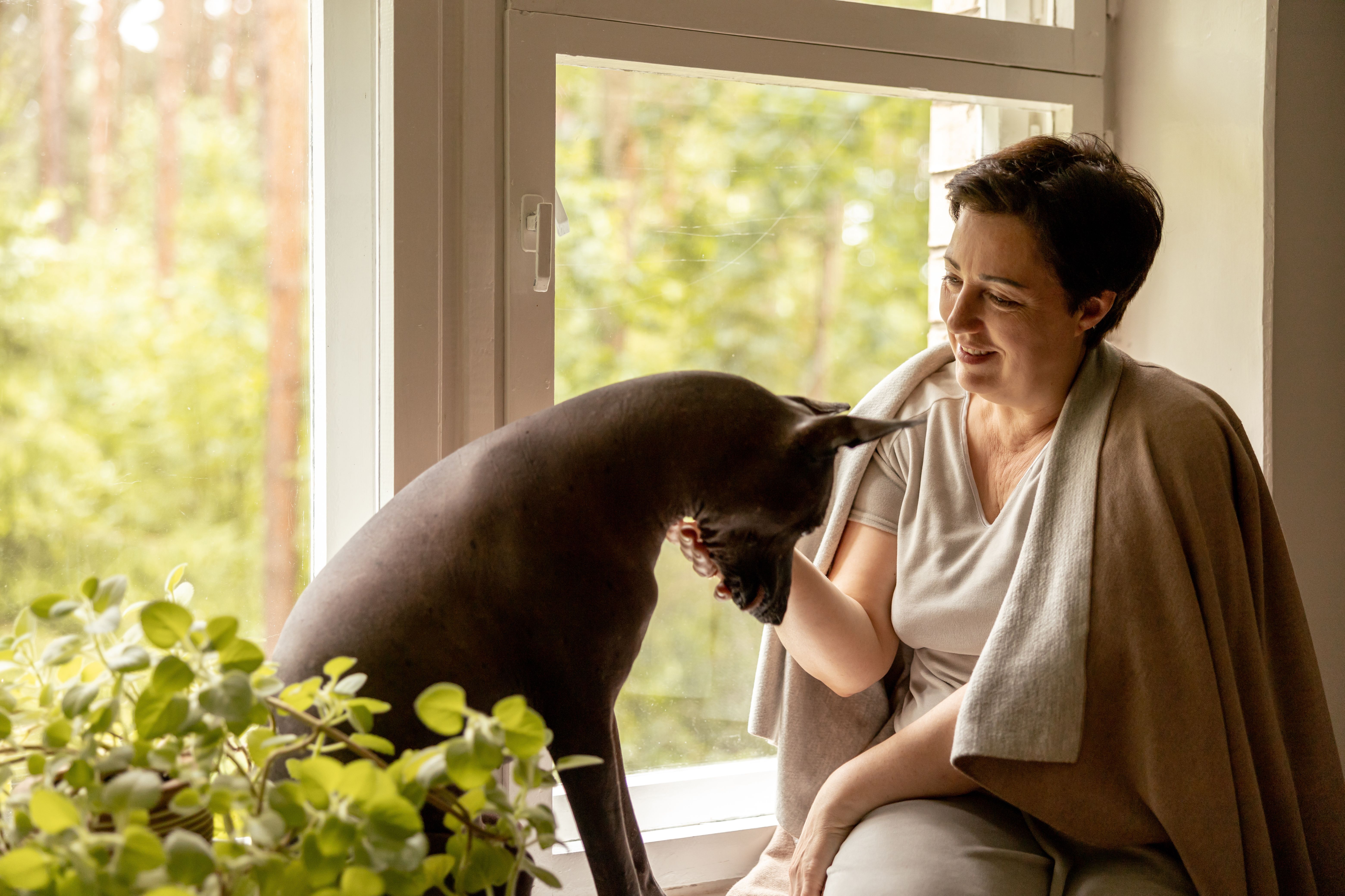 Los perros y los gatos también pueden tener alzhéimer. Foto: Bigstock