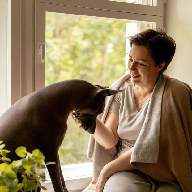 Los perros y los gatos también pueden tener alzhéimer. Foto: Bigstock