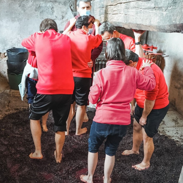 Jóvenes y mayores celebran el Día de la Vendimia en Colmenar Viejo. Foto: Ayuntamiento de Colmenar Viejo Jóvenes y mayores celebran el Día de la Vendimia en Colmenar Viejo. Foto: Ayuntamiento de Colmenar Viejo