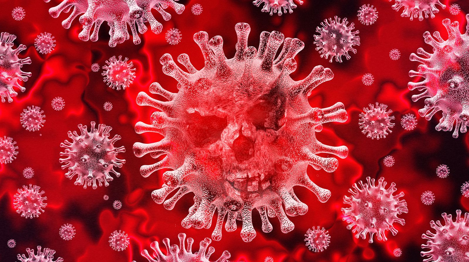 'Khosta-2': descubren un nuevo coronavirus parecido a la Covid que infecta humanos