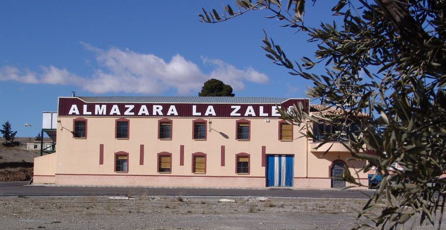 La zalea