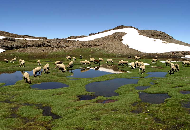 ruta Laguna Yeguas Sierra Nevada