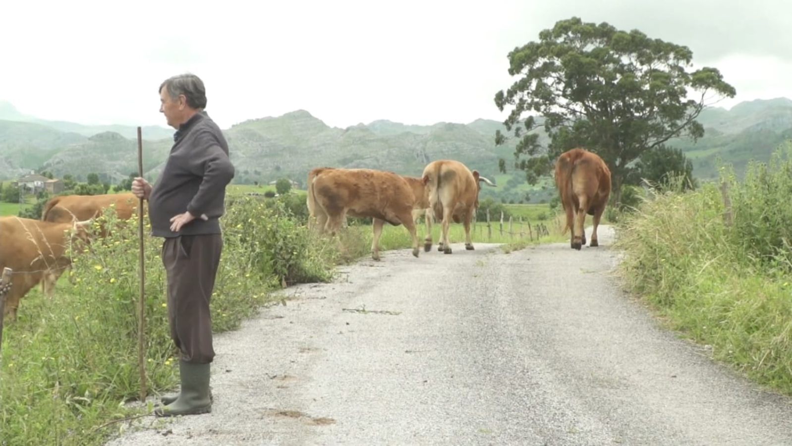 ‘La vida en voz alta’, un filme que resume en siete relatos de mayores la historia de Cantabria