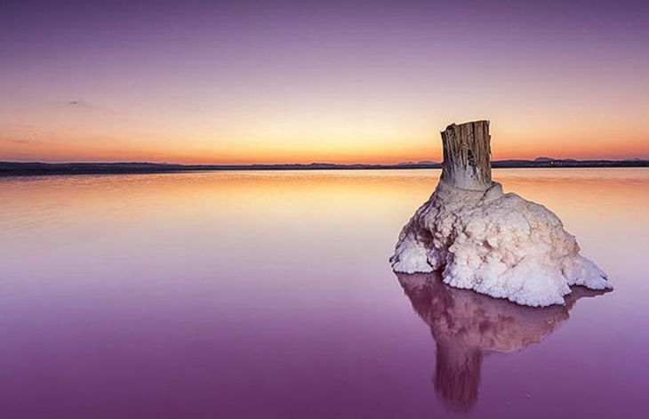 Laguna Salada en Torrevieja