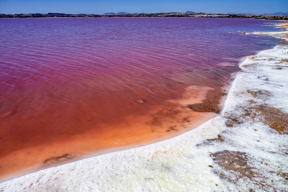 Laguna Salada en Torrevieja