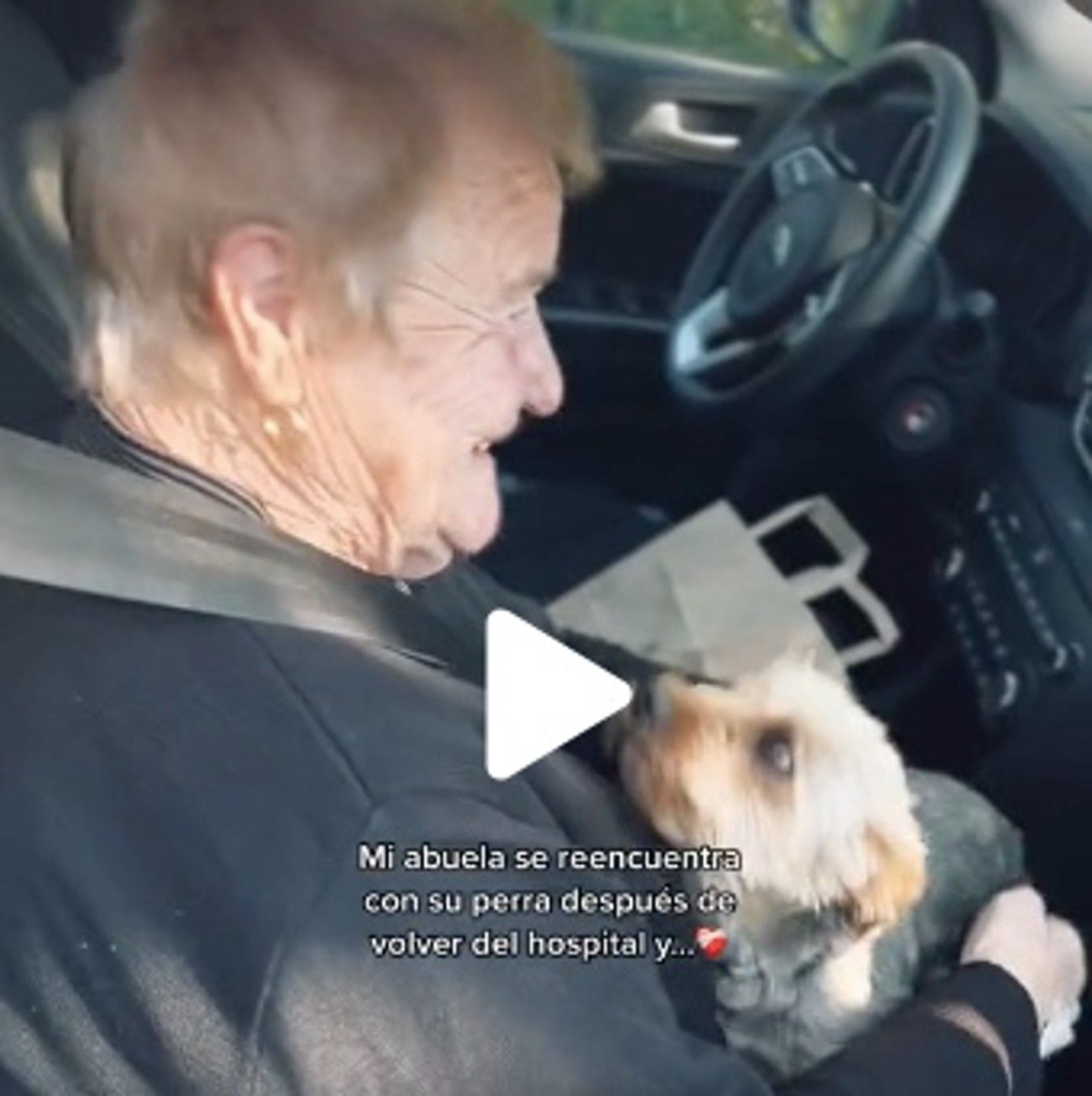 VÍDEO: El conmovedor reencuentro entre una mujer mayor y su perro tras días en el hospital