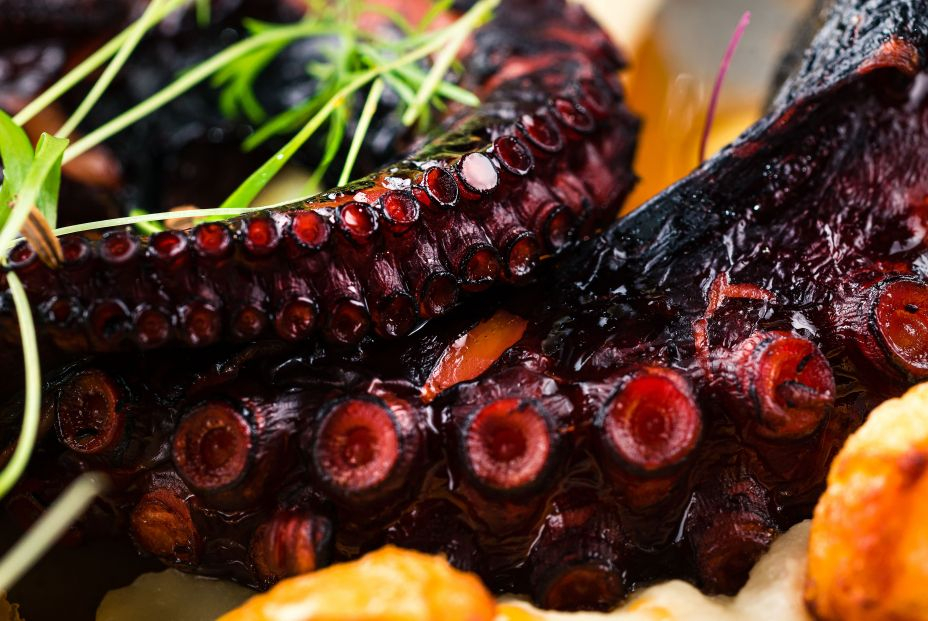 bigstock Grilled Octopus Appetizer Food 379150192