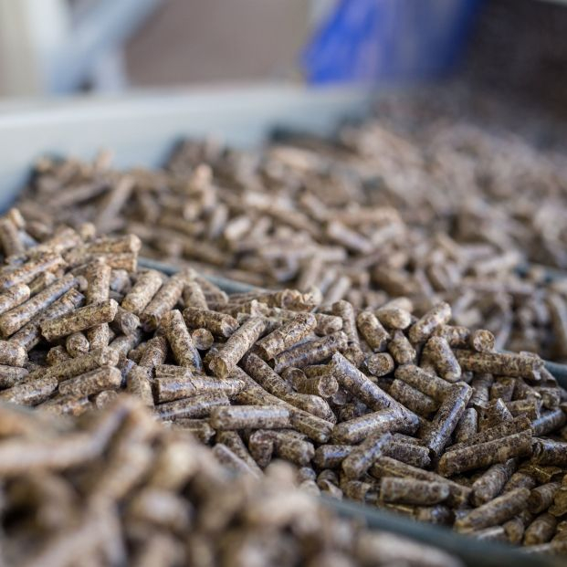 OCU denuncia la subida de precios de pellets y la inadecuada aplicación de la reducción del IVA. Foto: Europa Press