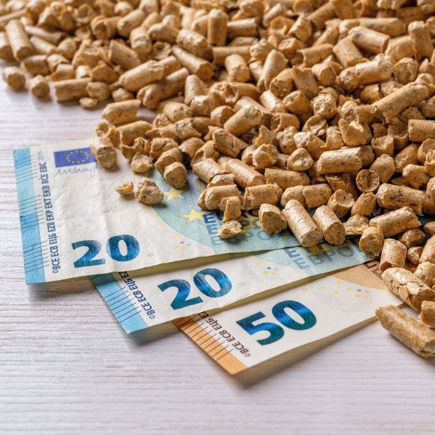OCU denuncia la subida de precios de los pellets para dejar sin efecto la reducción del IVA Foto: Bigstock