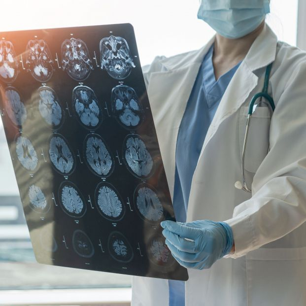 Prevé enfermedades neurodegenerativas futuras entrenando tu cerebro Foto: Bigstock