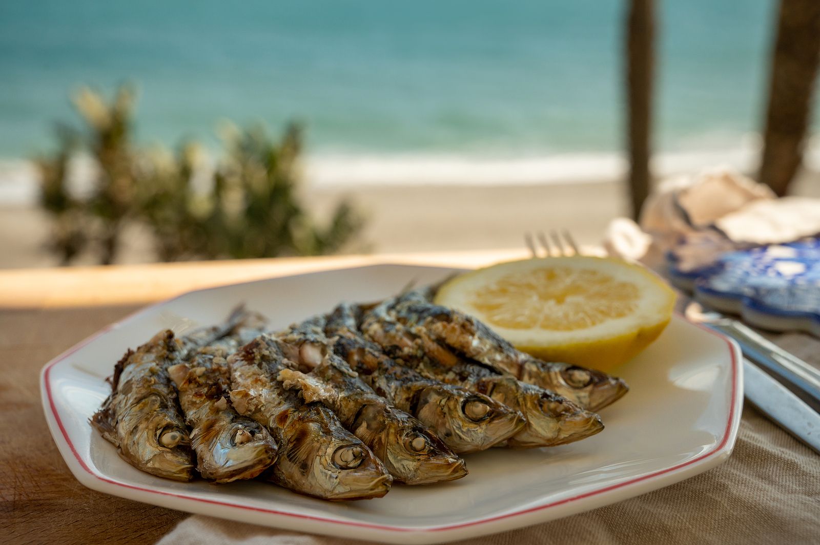 Los pescados más seguros que puedes comer por sus bajos niveles de mercurio