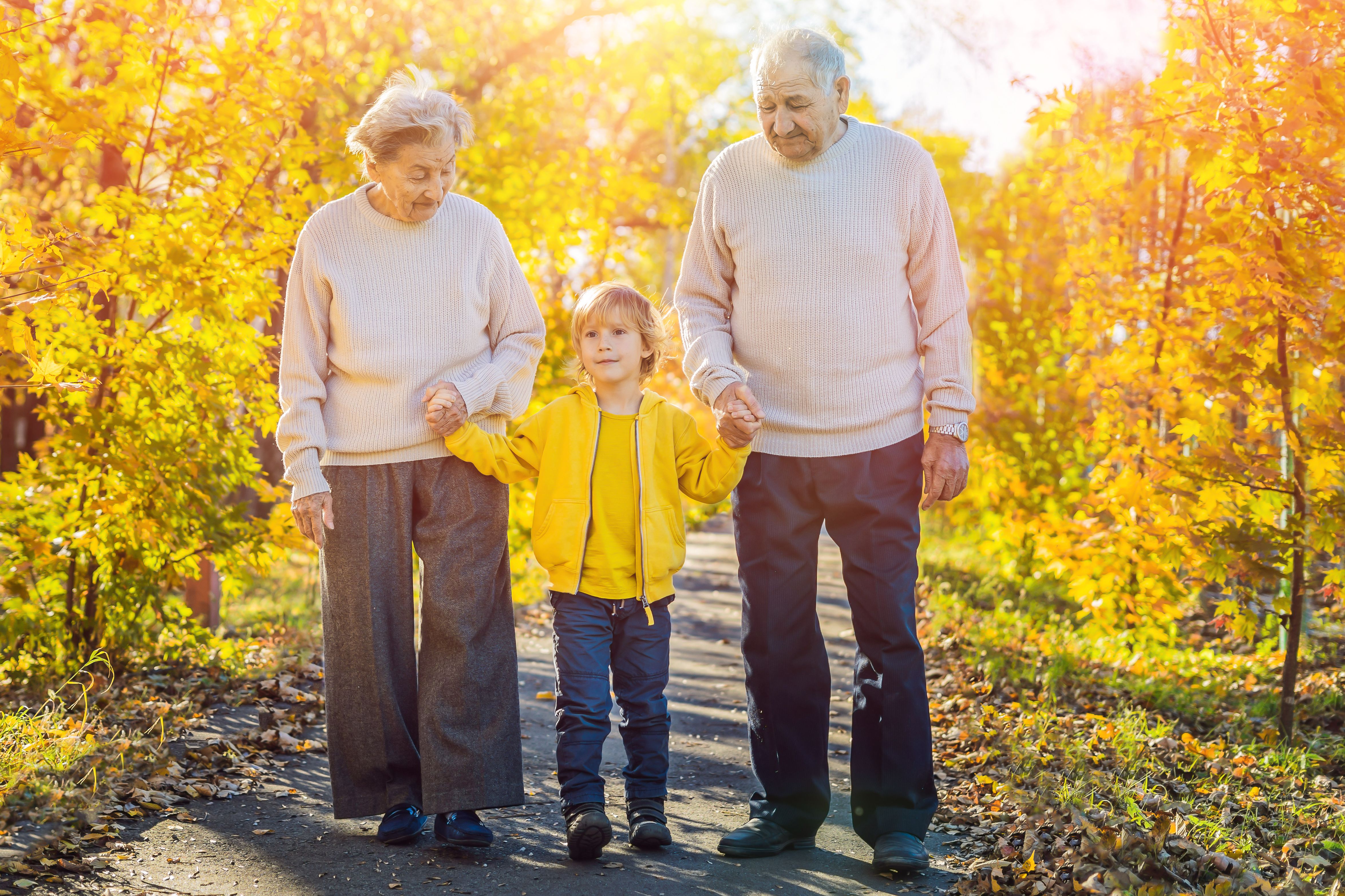 Los genes pueden transmitir las experiencias de los abuelos a los nietos. Foto: Bigstock