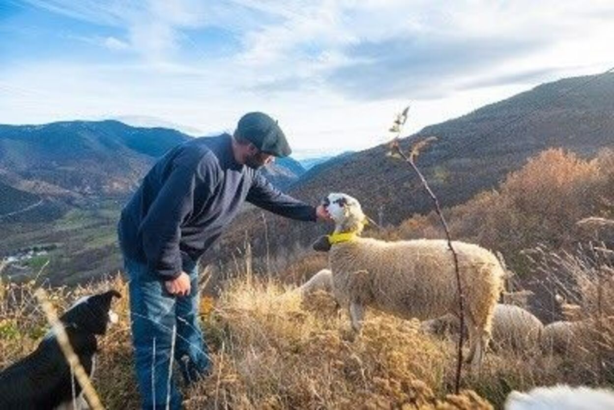 El Gobierno destina más de 4,3 millones a la Región de Murcia para agricultores y ganaderos