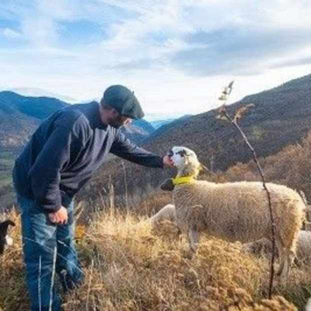 El Gobierno destina más de 4,3 millones a la Región de Murcia para agricultores y ganaderos