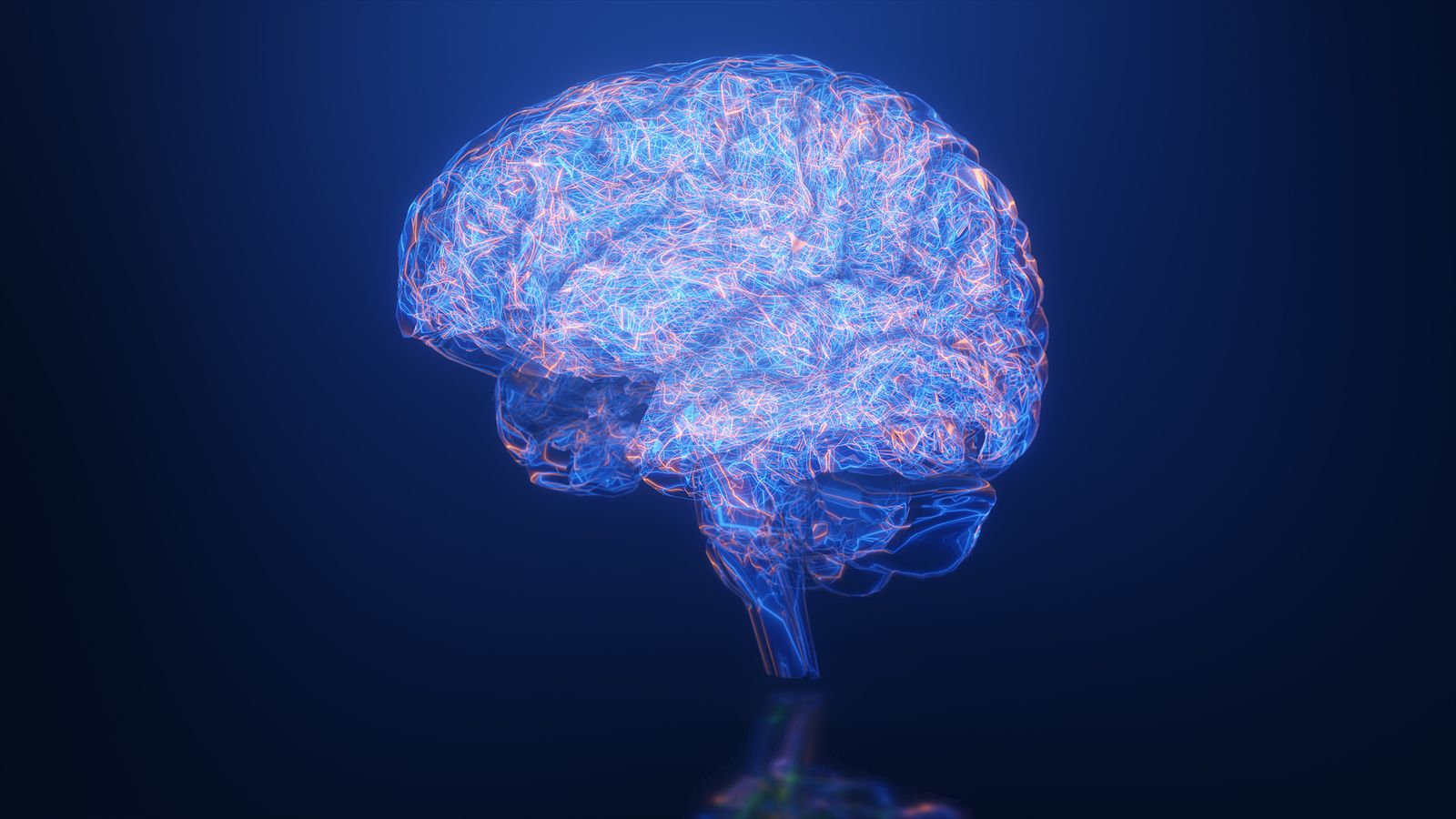 Otro paso para entender cómo pensamos: El mapa cerebral de un insecto más avanzado hasta la fecha