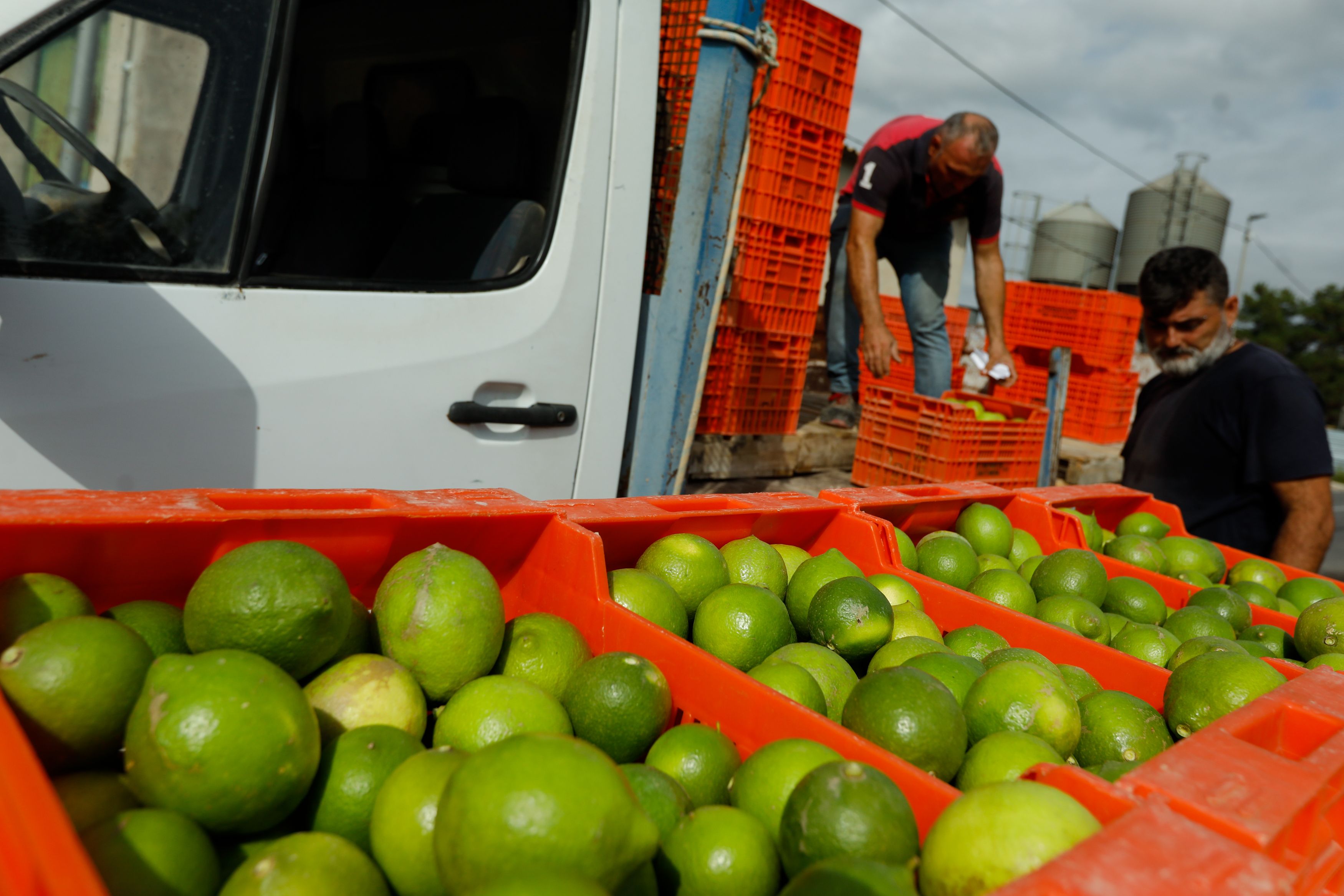 Las exportaciones de la Región de Murcia superan los 10.000 millones y aumentan un 26%. Foto: Europa Press Las exportaciones de la Región de Murcia superan los 10.000 millones y aumentan un 26%. Foto: Europa Press