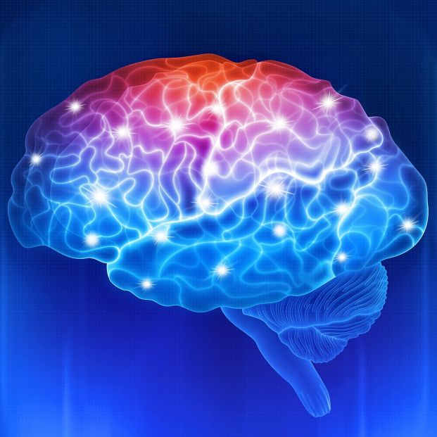 bigstock Human Brain On A Blue Backgrou 454878765