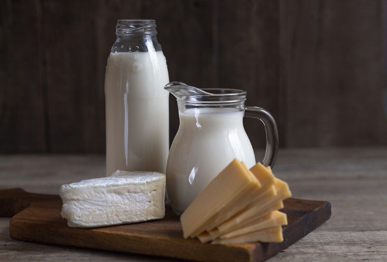 La leche ya se tomaba a gran escala hace 7.400 años