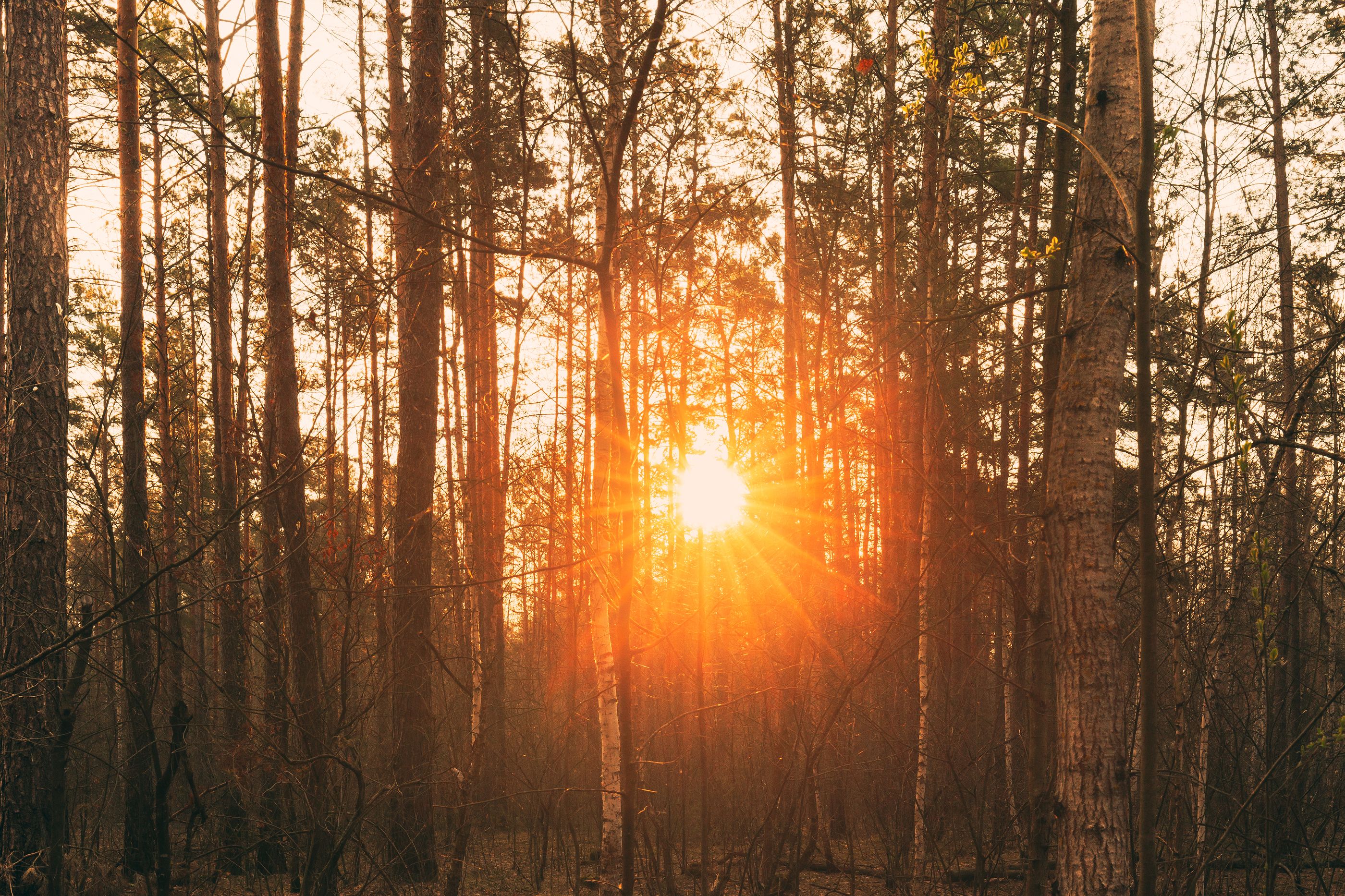 Cuándo es el solsticio de verano en 2019