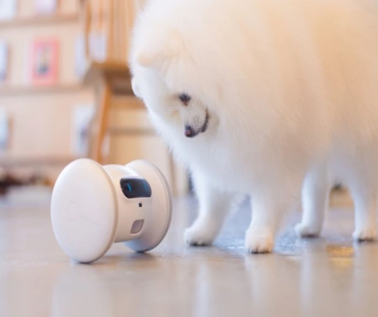 La última tecnología en el hogar que nos ayuda si tenemos mascotas
