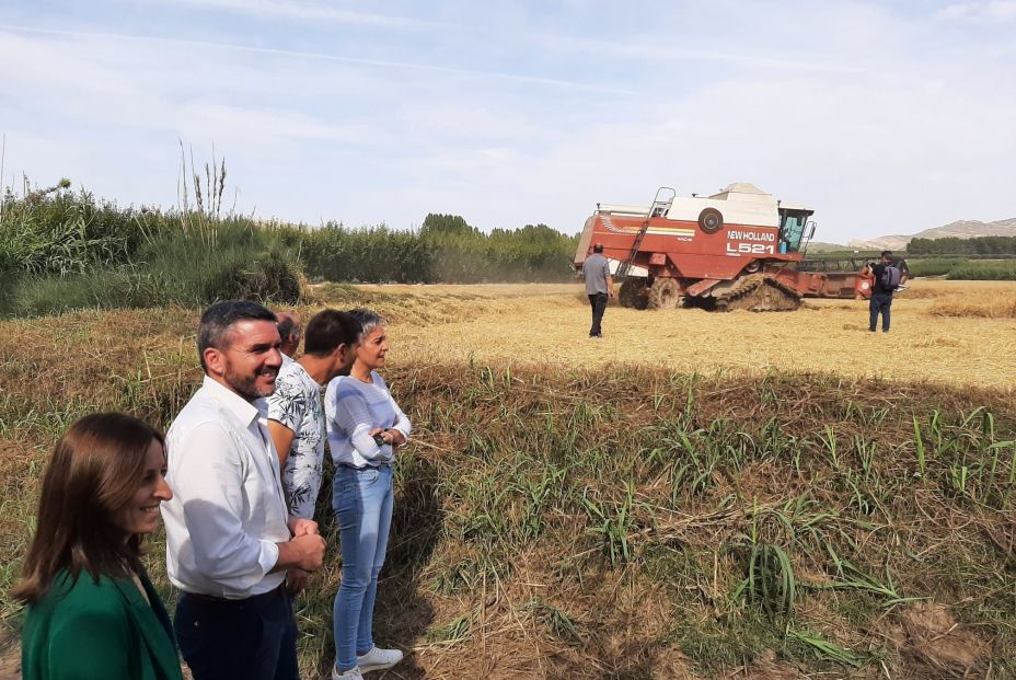 El consejero Antonio Luengo durante su visita a la siega de arroz de la DO Calasparra. Foto: CARM El consejero Antonio Luengo durante su visita a la siega de arroz de la DO Calasparra. Foto: CARM