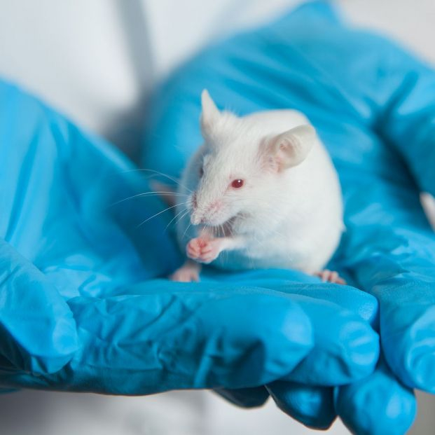 bigstock A Small White Mouse With Red E 441202256 bigstock A Small White Mouse With Red E 441202256