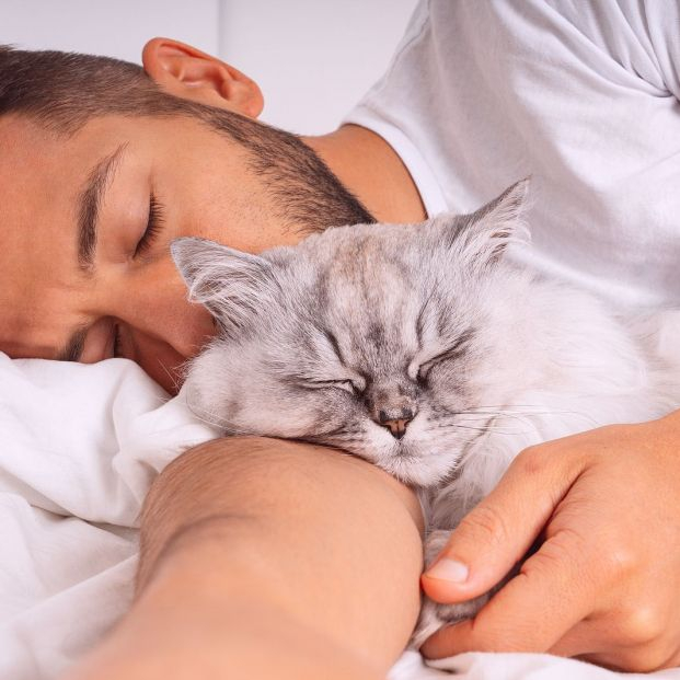bigstock Man Sleeping With Cat Lovely  449212119