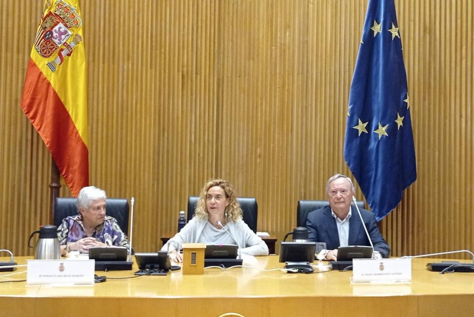 Entidades e instituciones piden una Convención Internacional de los Derechos de las Personas Mayores. Foto: UDP