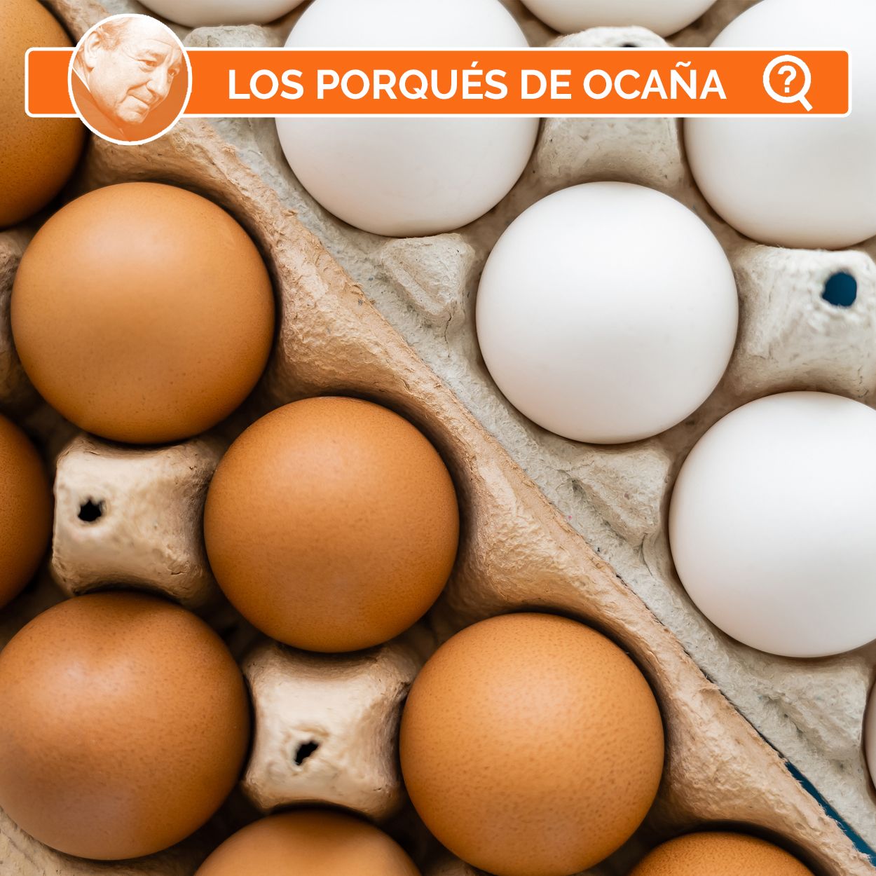 ¿Por qué se prefieren los huevos morenos a los blancos?