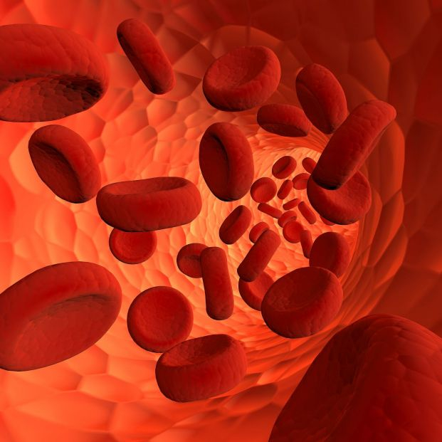 bigstock Blood Cells Flying Through Art 458502883