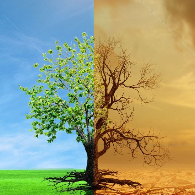 bigstock Climate Change From Drought To 457685823