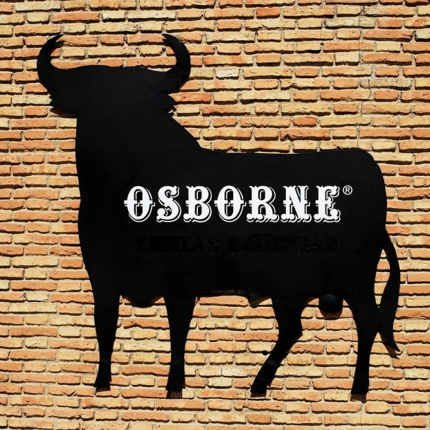 bigstock Osborne bull El Puerto de San 87603140