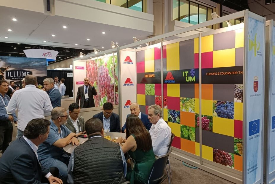 Empresas productoras de uvas de mesa de la Región participaron en la feria PMA Fresh Summit 2022, en Orlando (Florida), con el apoyo del INFO. Foto: CARM Empresas productoras de uvas de mesa de la Región participaron en la feria PMA Fresh Summit 2022, en Orlando (Florida), con el apoyo del INFO. Foto: CARM
