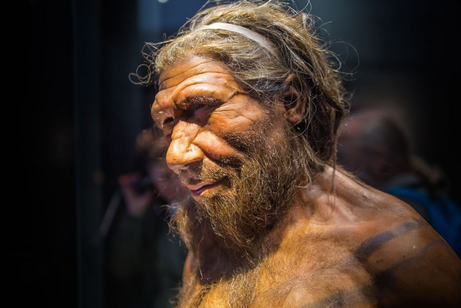 Hacer el amor y no la guerra pudo acabar con los neandertales