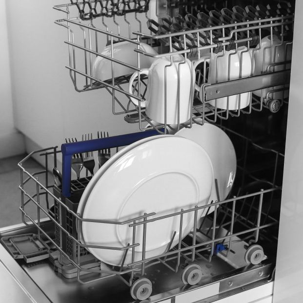 bigstock Dishwasher Loading Dishes Di 459658141