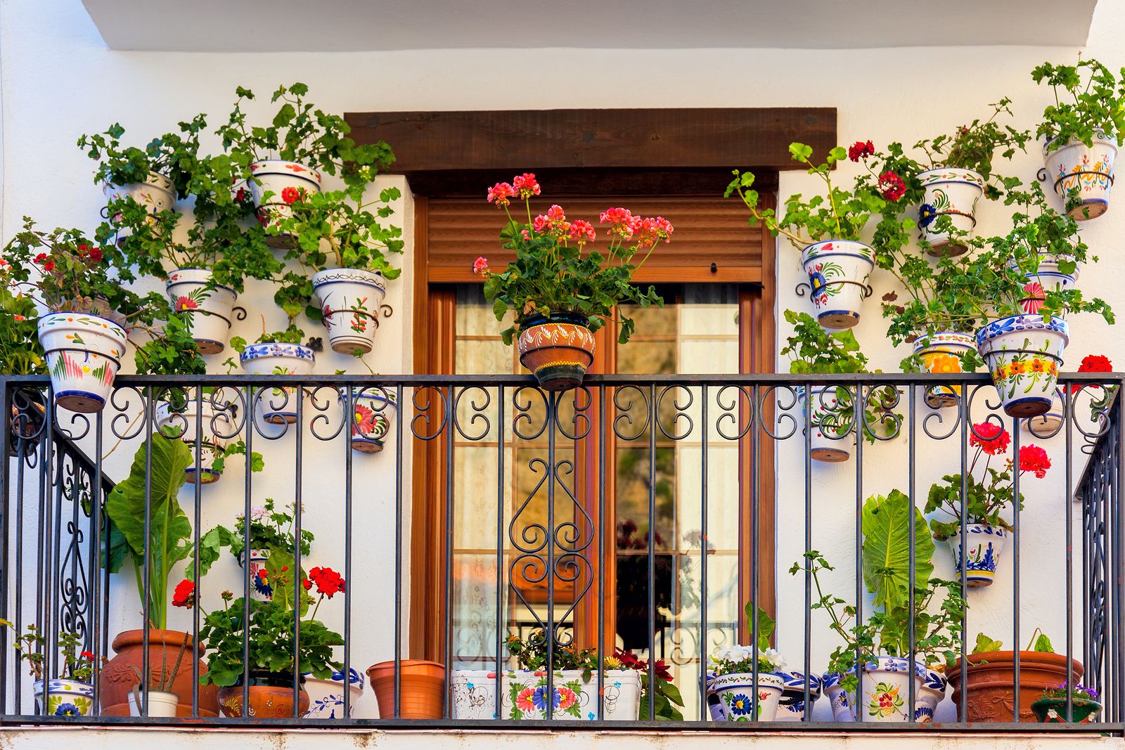 Regar las plantas en vacaciones