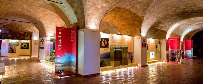 Museo del Vino de Bullas. Foto Ayuntamiento de Bullas