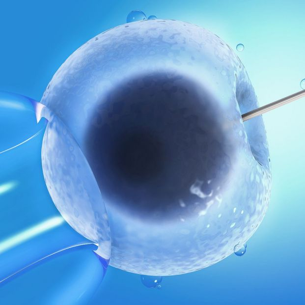bigstock Artificial Insemination Or In  456737237