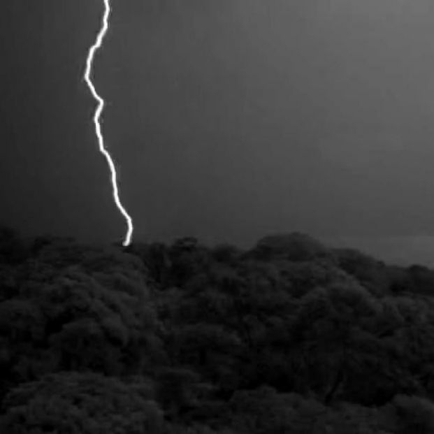 ¿Si te pones debajo de un árbol durante una tormenta hay más posibilidades de que te caiga un rayo? Foto: Europa Press ¿Si te pones debajo de un árbol durante una tormenta hay más posibilidades de que te caiga un rayo? Foto: Europa Press