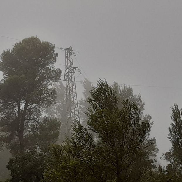 ¿Si te pones debajo de un árbol durante una tormenta hay más posibilidades de que te caiga un rayo? Foto: Europa Press