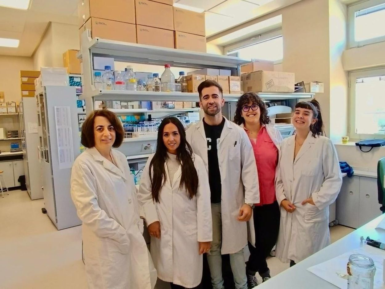 Descubren una molécula capaz de prevenir la leucemia y otros tipos de cáncer