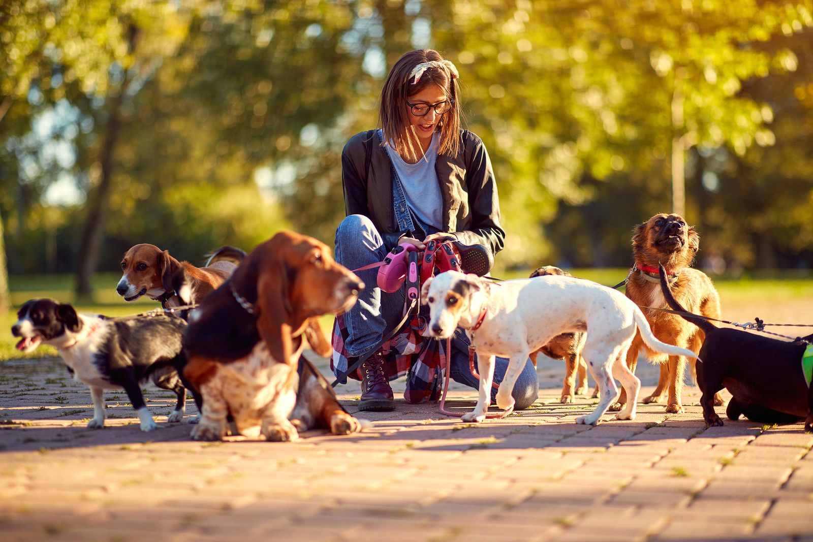 Guarderías de día para perros