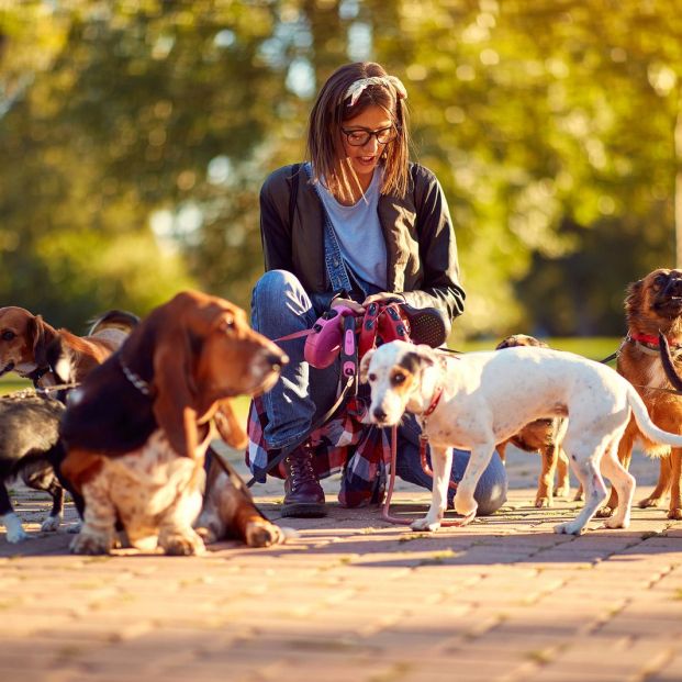 Guarderías de día para perros