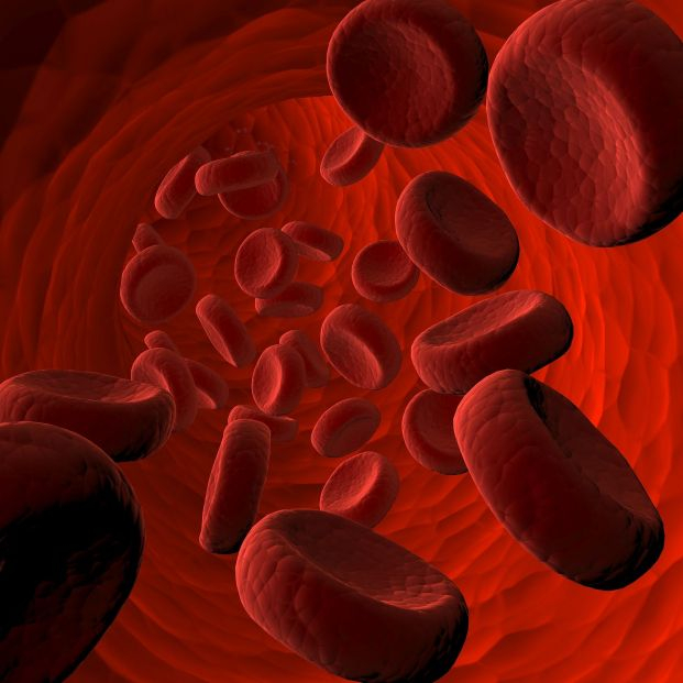 bigstock Blood Cells Flying Through Art 463203385