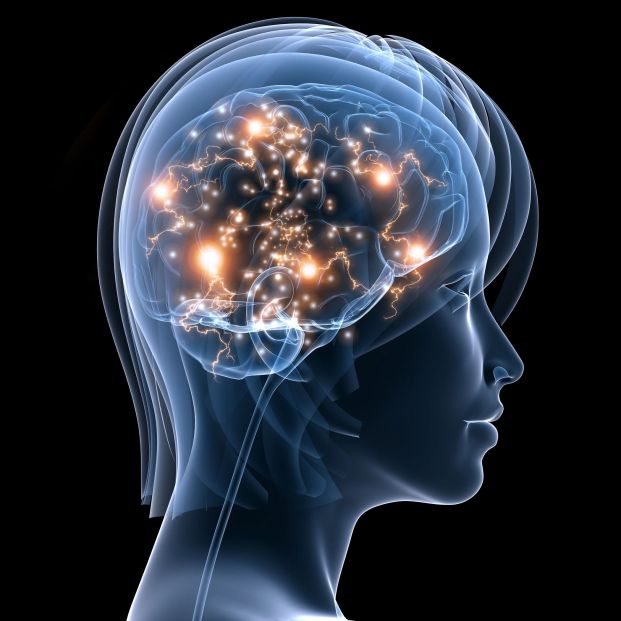 El cerebro de la mujer envejece más tarde que el del hombre